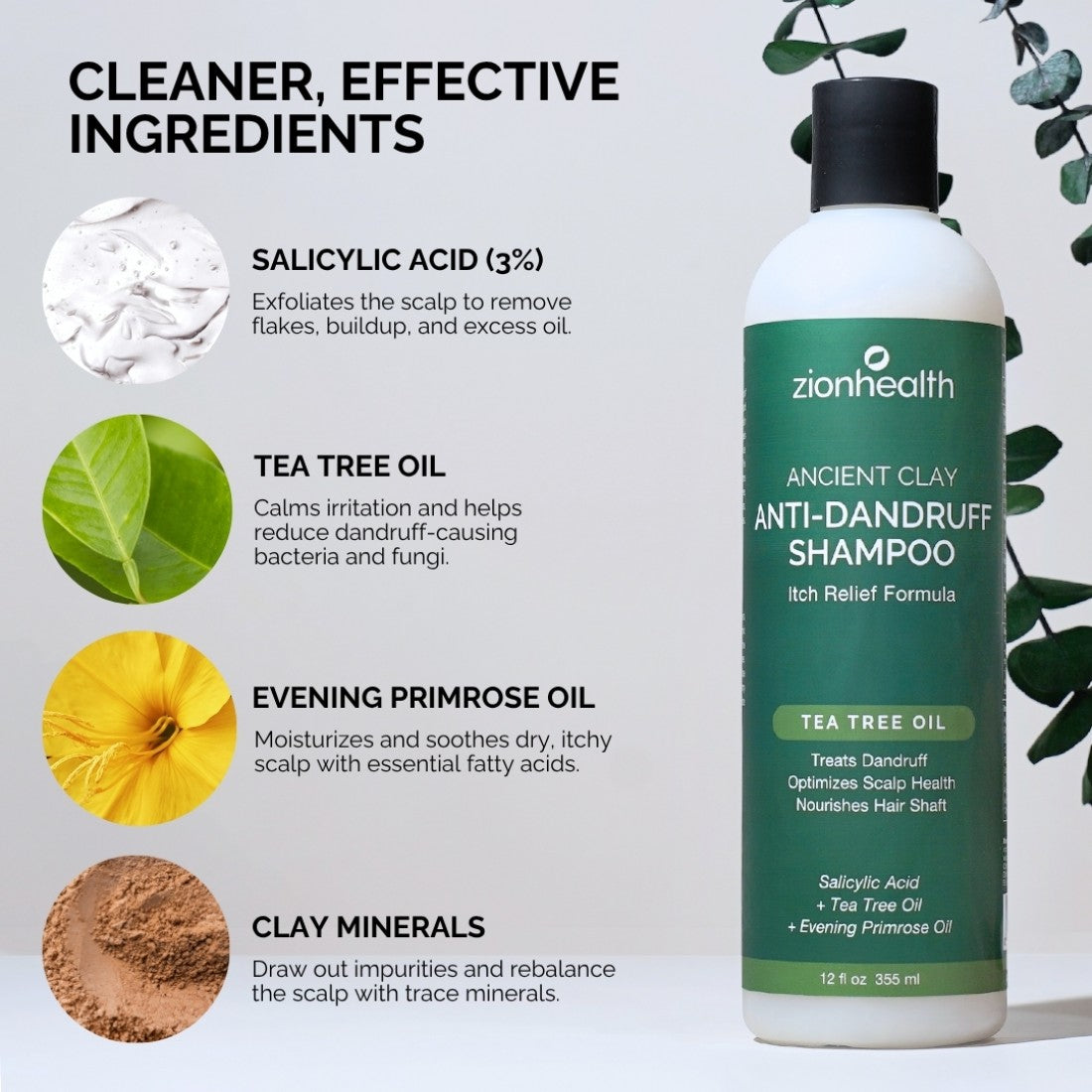 Zion Health Anti-Dandruff Shampoo 12oz